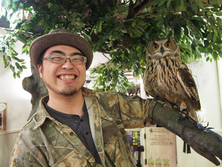 Illustration for article titled Who Thinks Japan's Owl Cafes Are a Hoot?